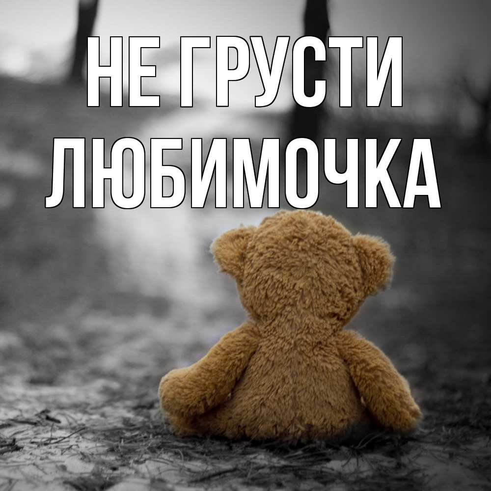 Открытка на каждый день с именем, Любимочка Не грусти медведь со спин Прикольная открытка с пожеланием онлайн скачать бесплатно 