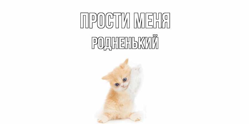Картинка Прости меня, Родненький