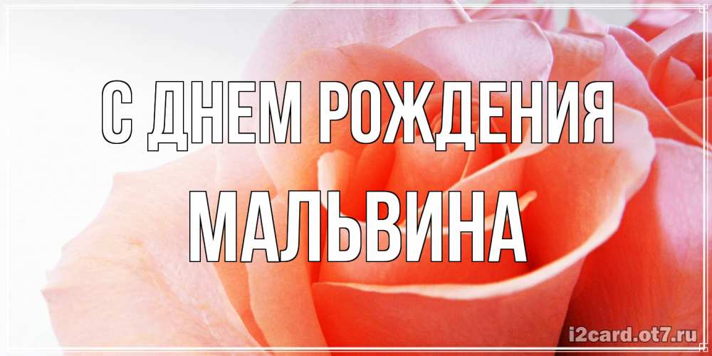 Открытка на каждый день с именем, Мальвина С днем рождения розы для поздравления с днем рождения Прикольная открытка с пожеланием онлайн скачать бесплатно 