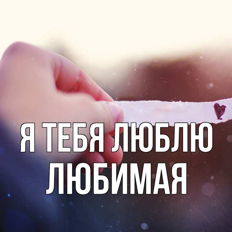 Картинка Я тебя люблю, Любимая