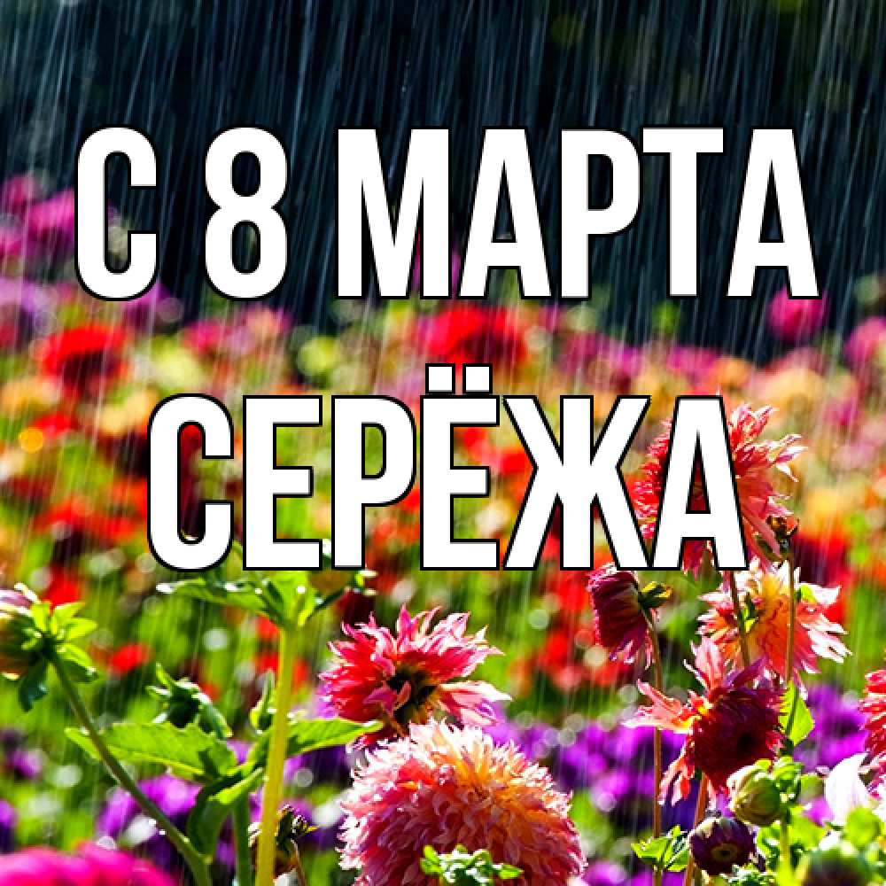 Открытка на каждый день с именем, Серёжа C 8 МАРТА цветы под дождиком к международному женскому дню Прикольная открытка с пожеланием онлайн скачать бесплатно 