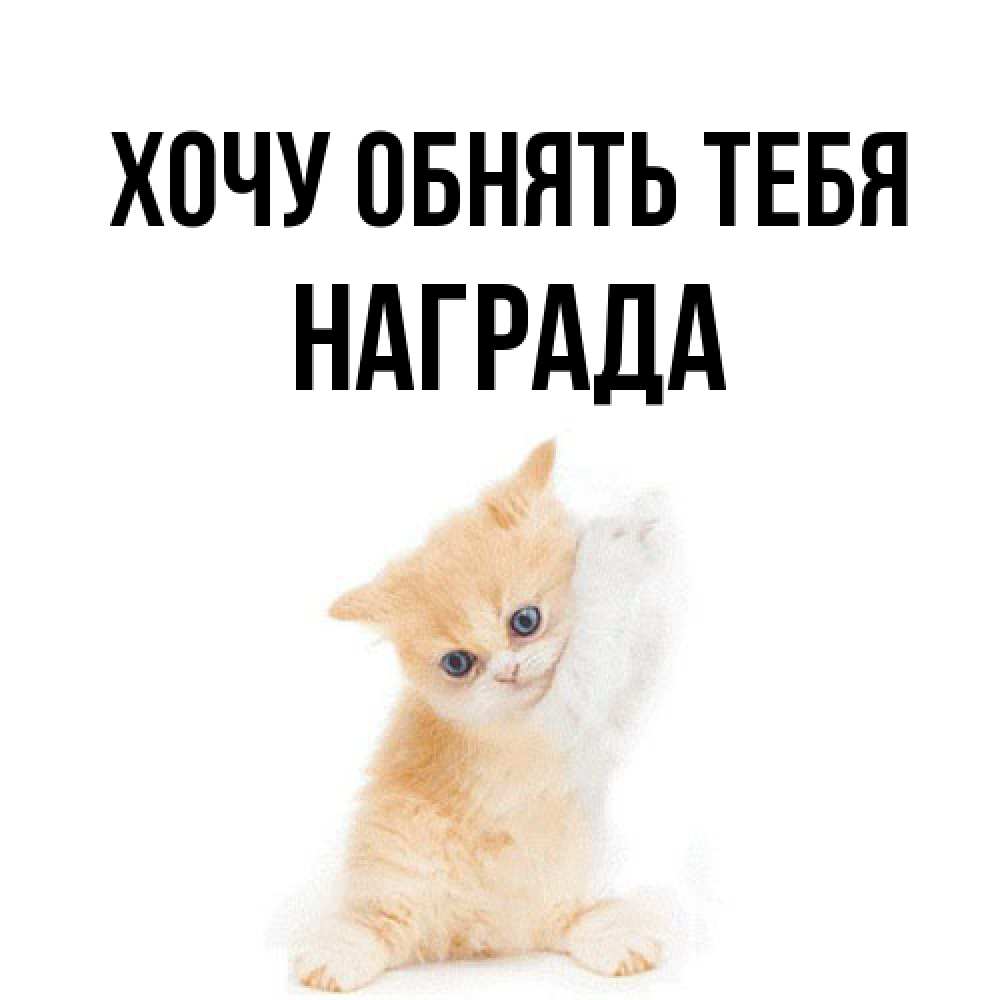 Открытка на каждый день с именем, Награда Хочу обнять тебя я хочу очень скорее обнимаешек Прикольная открытка с пожеланием онлайн скачать бесплатно 