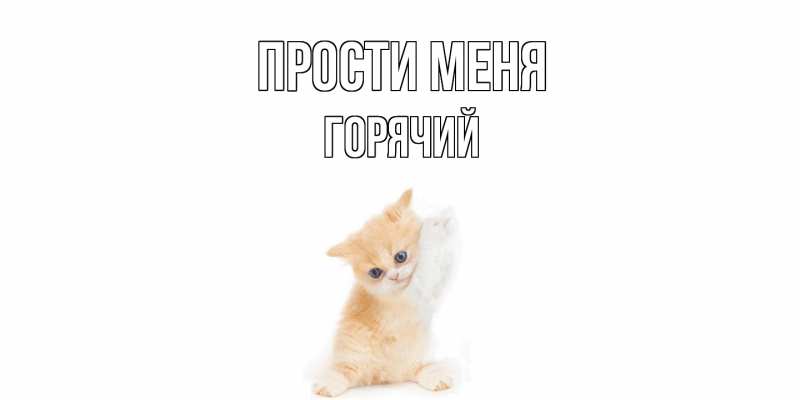 Картинка Прости меня, Горячий