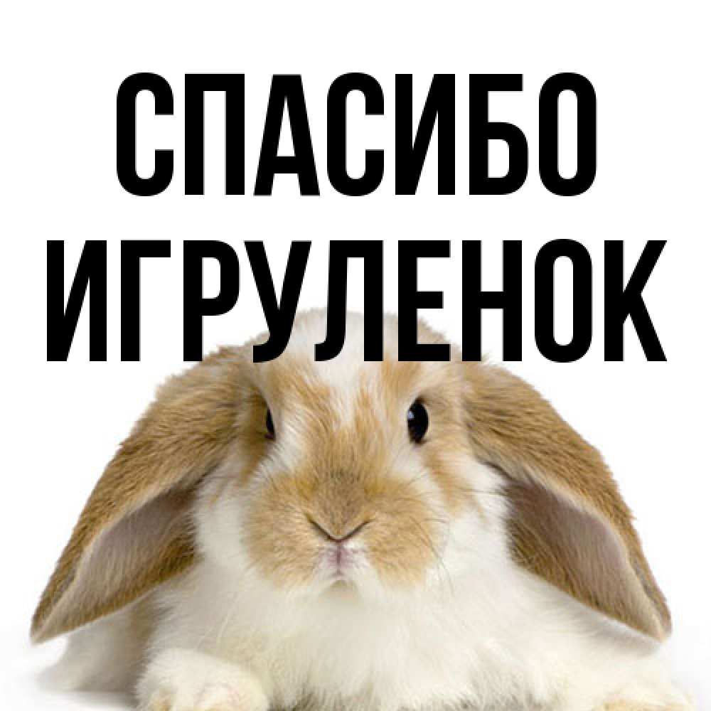 Открытка на каждый день с именем, Игpуленок Спасибо коричнево белый заяц Прикольная открытка с пожеланием онлайн скачать бесплатно 