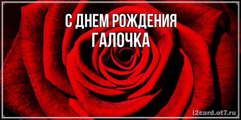 Картинка С днем рождения, Галочка