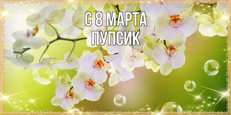 Картинка C 8 МАРТА, пупсик