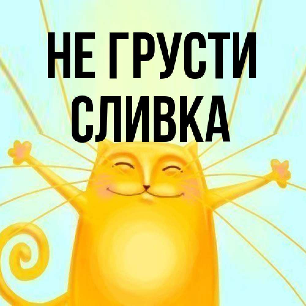 Открытка на каждый день с именем, Сливка Не грусти обнимашки усатые Прикольная открытка с пожеланием онлайн скачать бесплатно 