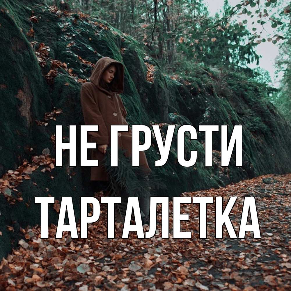 Открытка на каждый день с именем, Тарталетка Не грусти осенний лес Прикольная открытка с пожеланием онлайн скачать бесплатно 