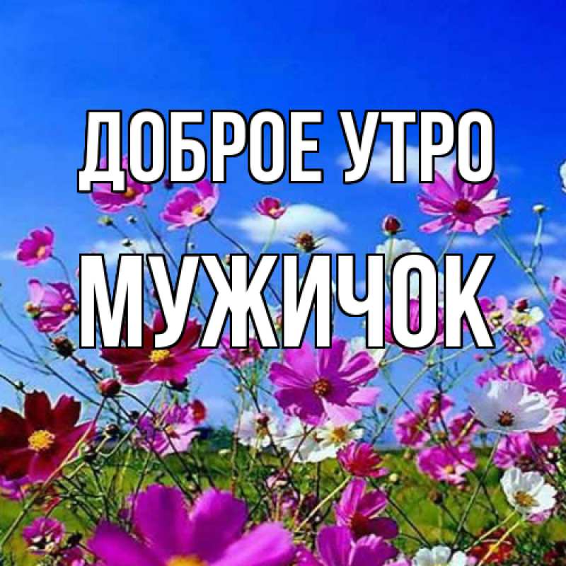 Картинка Доброе утро, Мужичок
