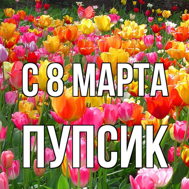 Картинка C 8 МАРТА, пупсик