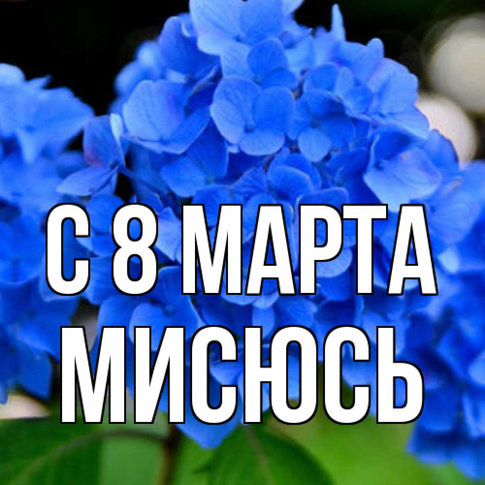 Открытка на каждый день с именем, мисюсь C 8 МАРТА синие цветы Прикольная открытка с пожеланием онлайн скачать бесплатно 