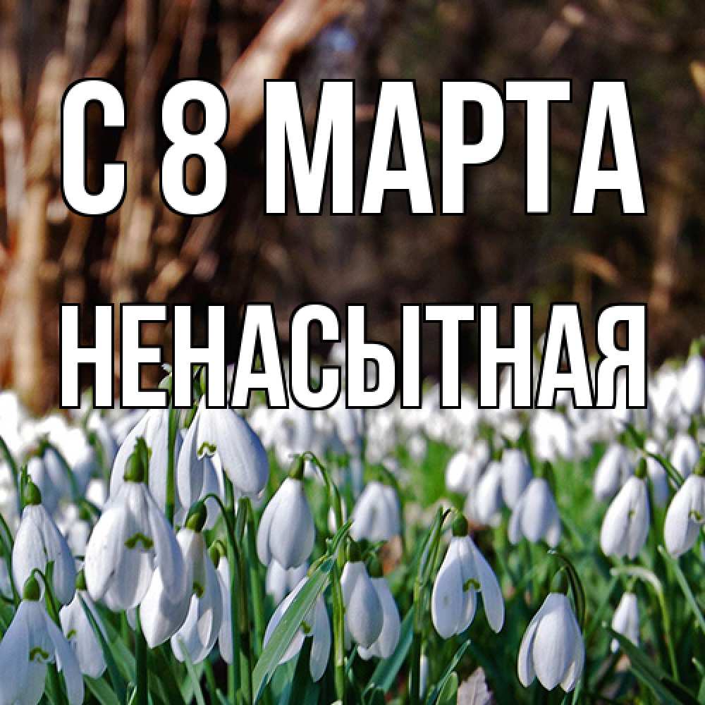 Открытка на каждый день с именем, Ненасытная C 8 МАРТА с подснежниками 1 Прикольная открытка с пожеланием онлайн скачать бесплатно 