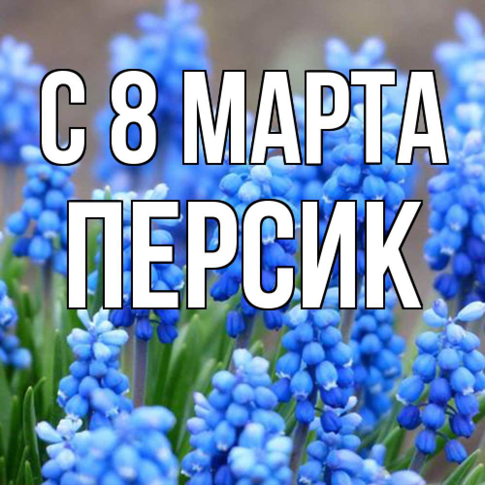 Открытка на каждый день с именем, Персик C 8 МАРТА Поздравительная открытка для женщин с цветами на праздничную дату Прикольная открытка с пожеланием онлайн скачать бесплатно 