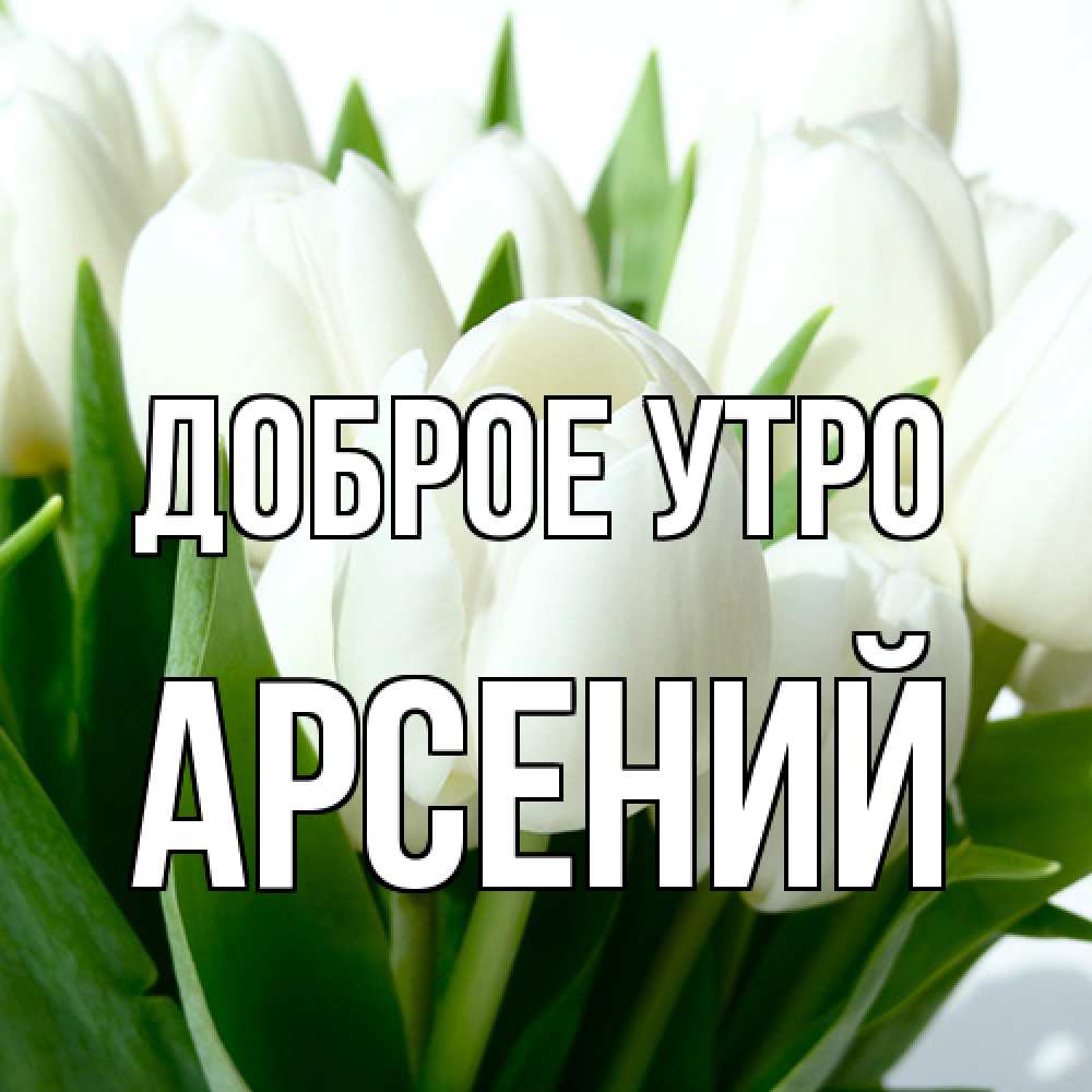 Открытка на каждый день с именем, Арсений Доброе утро открытки на каждый день по именам Прикольная открытка с пожеланием онлайн скачать бесплатно 