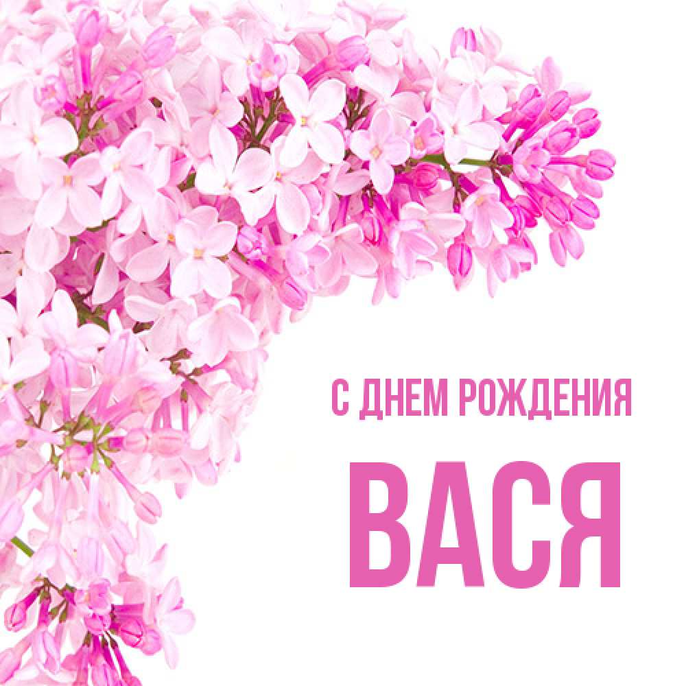 Открытка на каждый день с именем, Вася С днем рождения Сирень на белом фоне Прикольная открытка с пожеланием онлайн скачать бесплатно 
