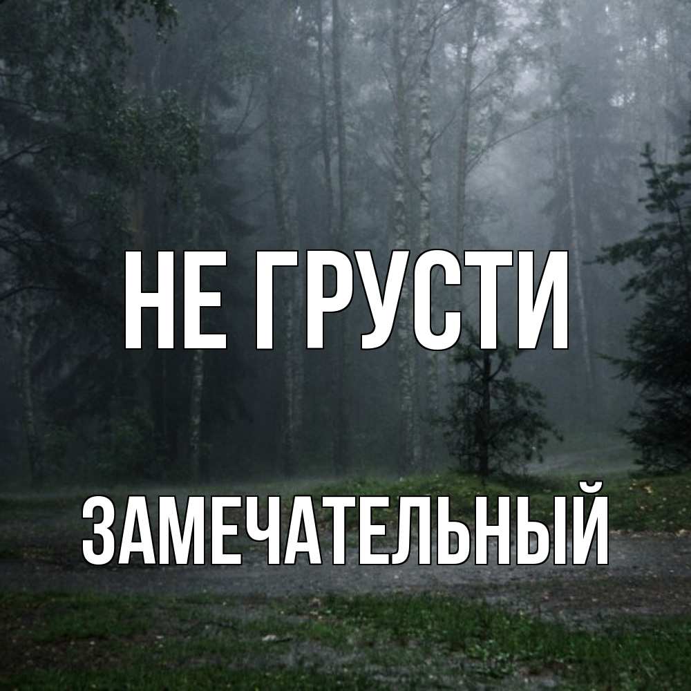 Открытка на каждый день с именем, Замечательный Не грусти осень Прикольная открытка с пожеланием онлайн скачать бесплатно 