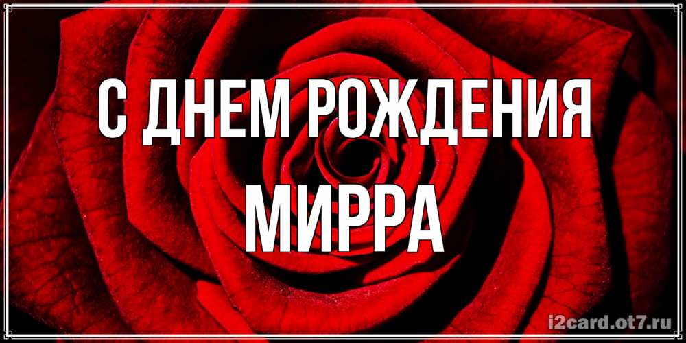 Открытка на каждый день с именем, Мирра С днем рождения алая роза Прикольная открытка с пожеланием онлайн скачать бесплатно 