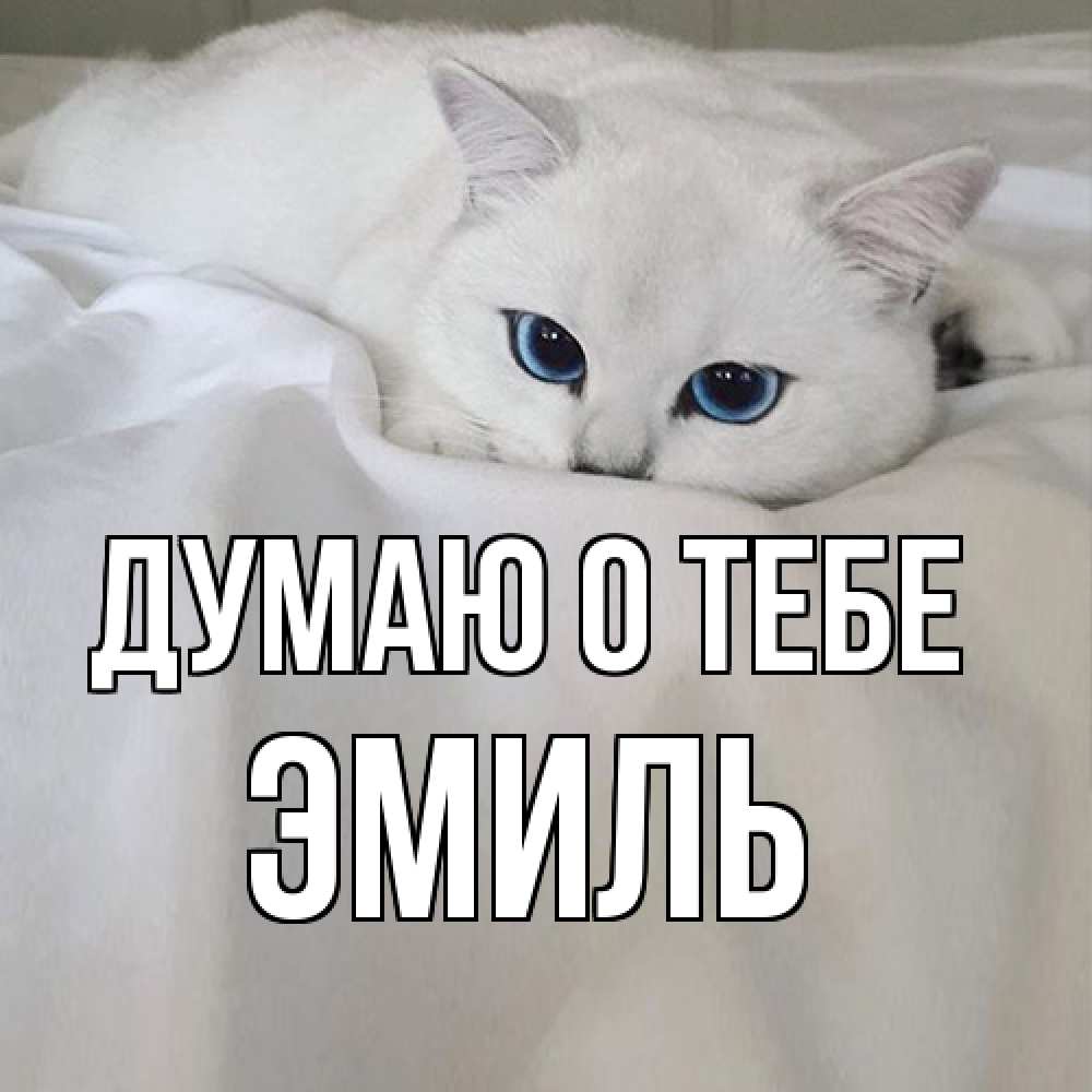 Открытка на каждый день с именем, Эмиль Думаю о тебе я очень по тебе скучаю и тоскую Прикольная открытка с пожеланием онлайн скачать бесплатно 