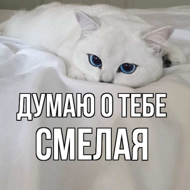 Картинка Думаю о тебе, Смелая