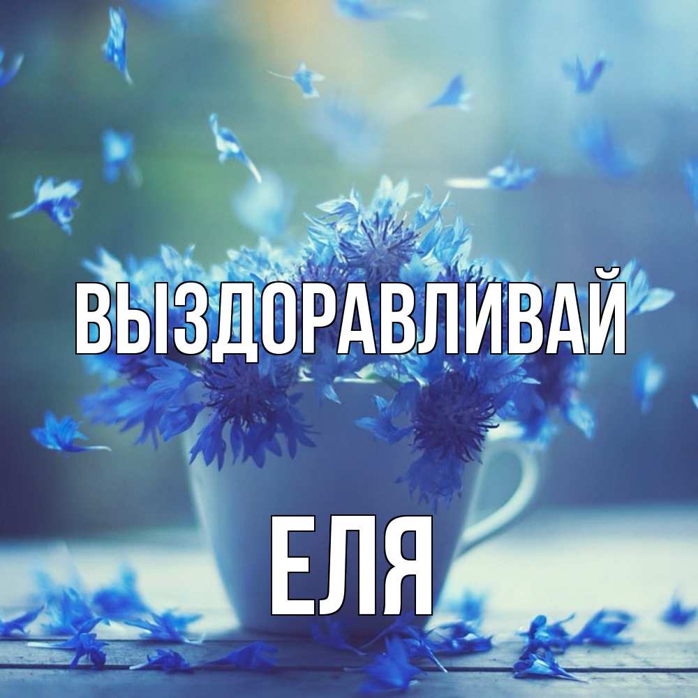 Открытка на каждый день с именем, Еля Выздоравливай кружка с зельем и цветами Прикольная открытка с пожеланием онлайн скачать бесплатно 