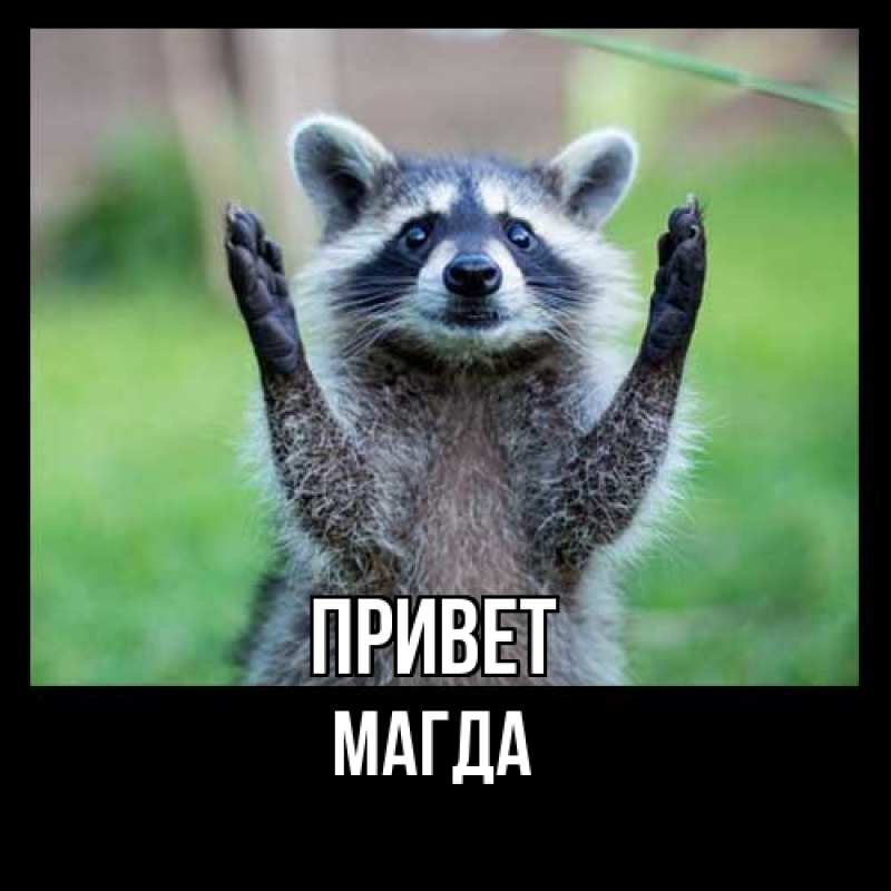 Картинка Привет, Магда