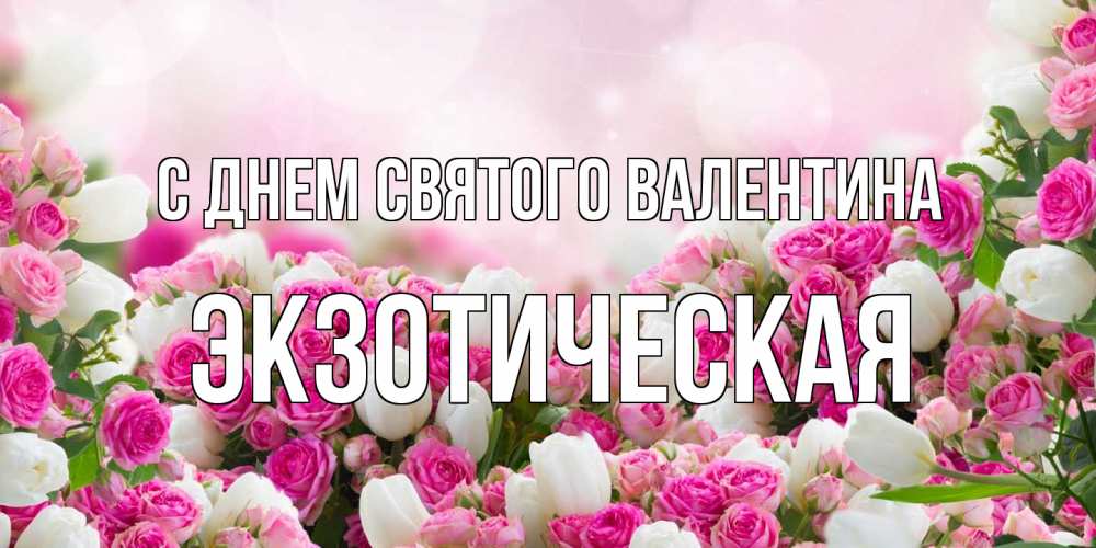 Открытка на каждый день с именем, Экзотическая С днем Святого Валентина валентинка с именем Прикольная открытка с пожеланием онлайн скачать бесплатно 