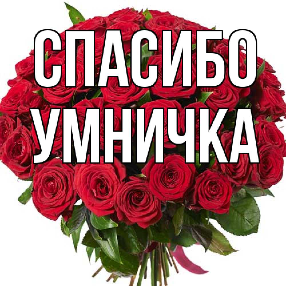 Открытка на каждый день с именем, Умничка Спасибо букет красных роз Прикольная открытка с пожеланием онлайн скачать бесплатно 