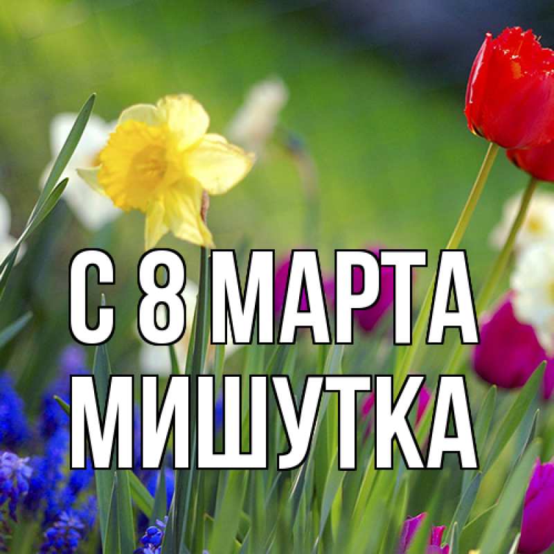 Картинка C 8 МАРТА, Мишутка
