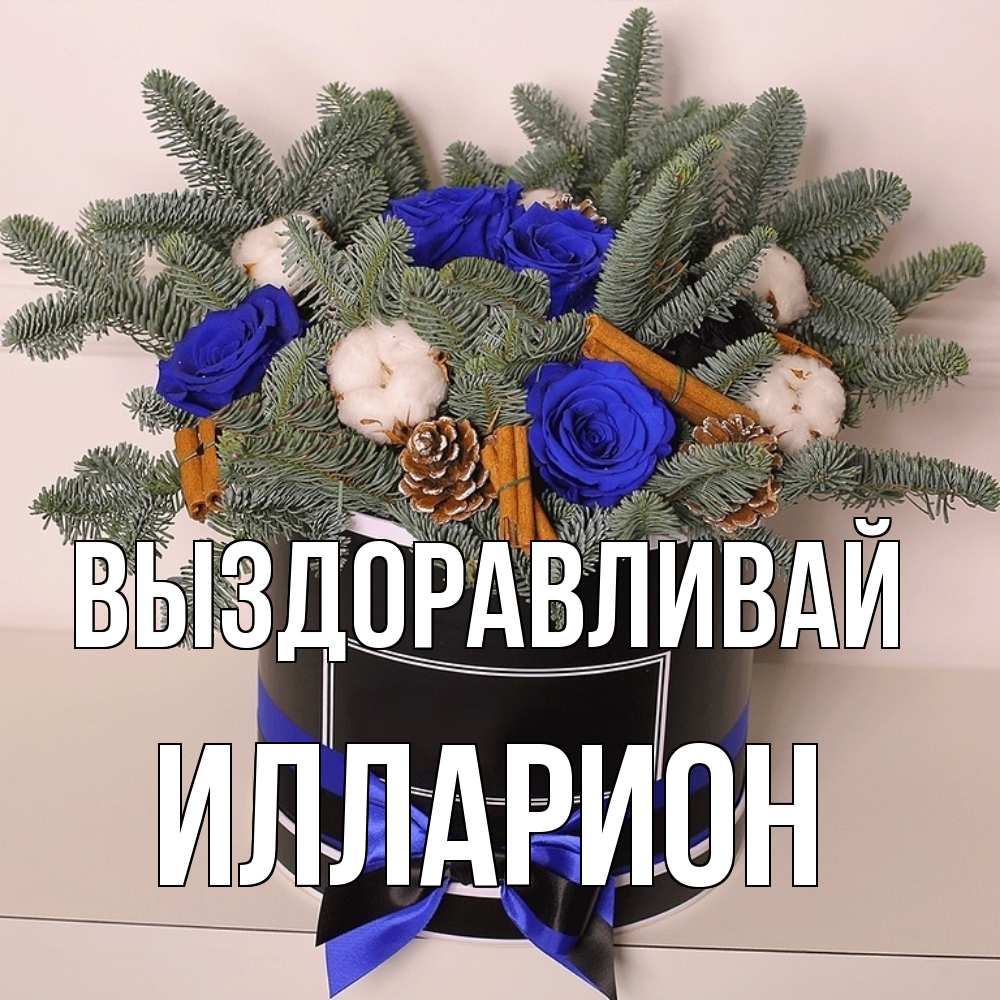 Открытка на каждый день с именем, Илларион Выздоравливай короче кто то загрузил эти шишки Прикольная открытка с пожеланием онлайн скачать бесплатно 