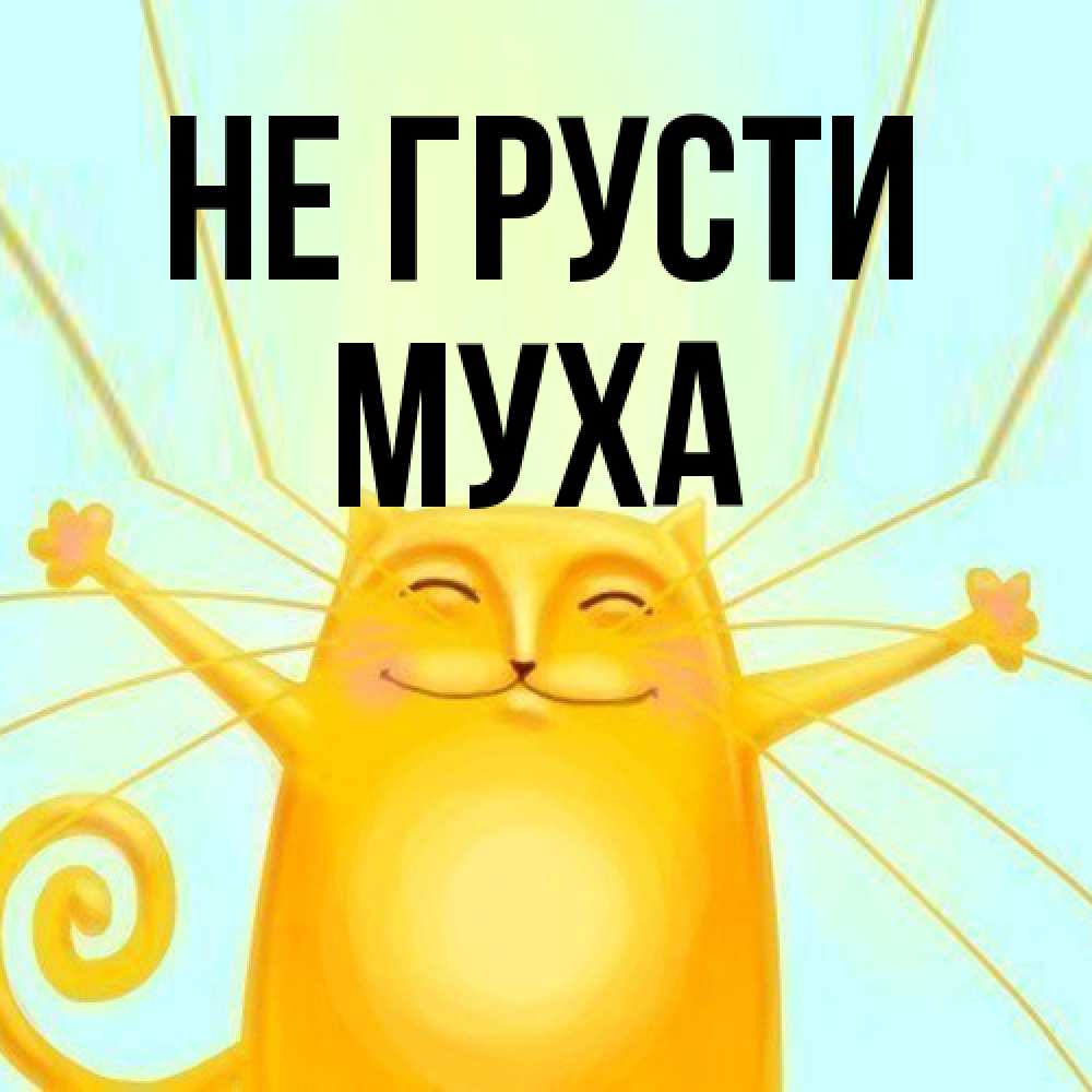 Открытка на каждый день с именем, Муха Не грусти обнимашки усатые Прикольная открытка с пожеланием онлайн скачать бесплатно 