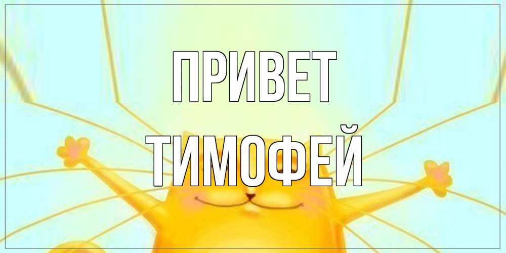 Открытка на каждый день с именем, Тимофей Привет кот Прикольная открытка с пожеланием онлайн скачать бесплатно 