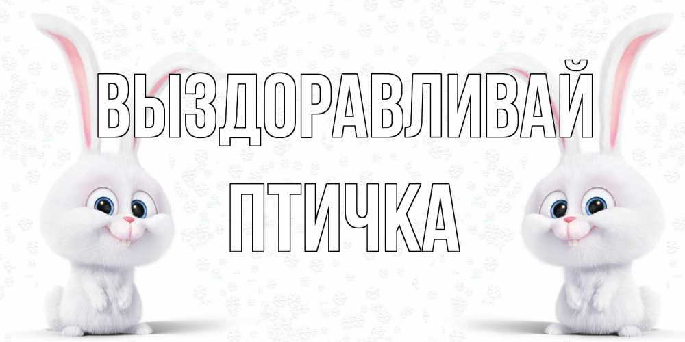 Открытка на каждый день с именем, Птичка Выздоравливай не болей с зайцем Прикольная открытка с пожеланием онлайн скачать бесплатно 