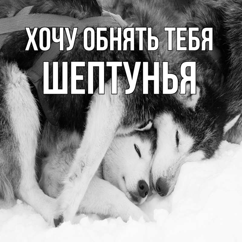 Картинка Хочу обнять тебя, Шептунья