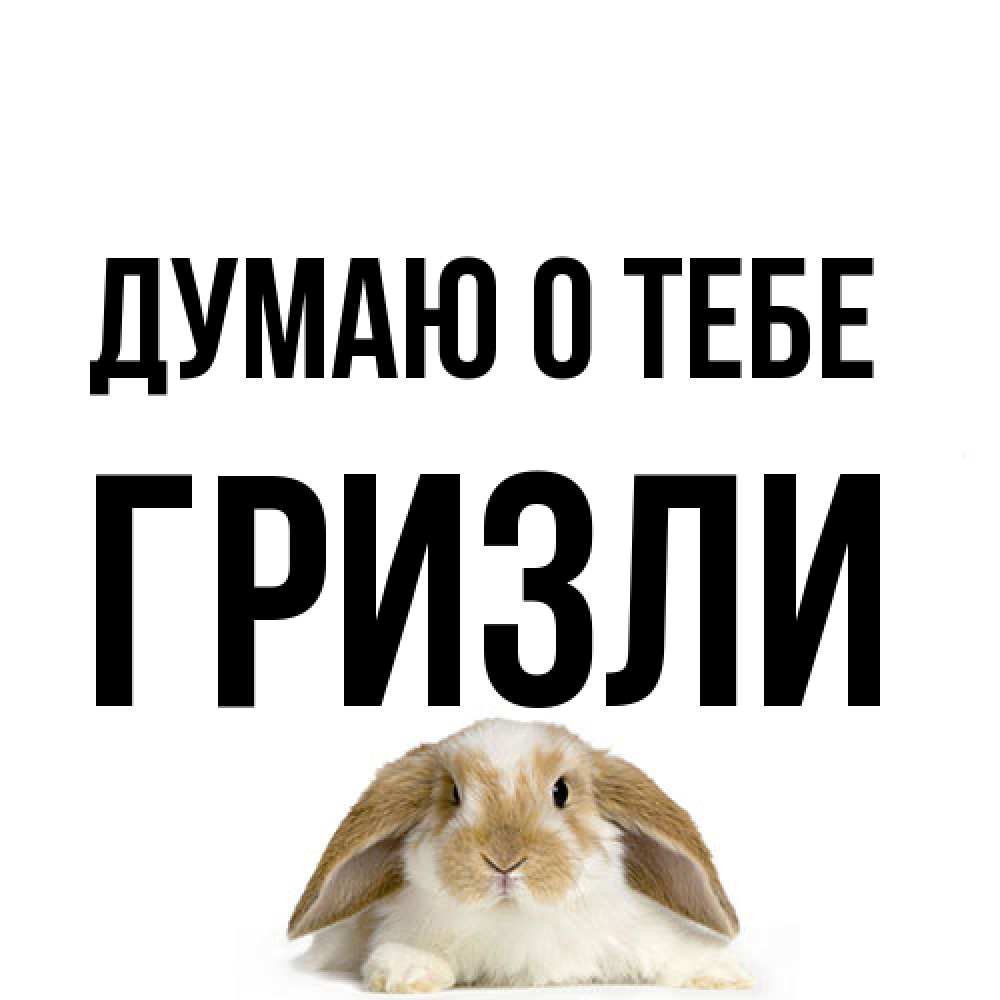 Открытка на каждый день с именем, Гризли Думаю о тебе подписать своими руками онлайн Прикольная открытка с пожеланием онлайн скачать бесплатно 