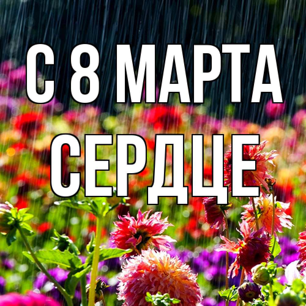 Открытка на каждый день с именем, сердце C 8 МАРТА цветы под дождиком к международному женскому дню Прикольная открытка с пожеланием онлайн скачать бесплатно 
