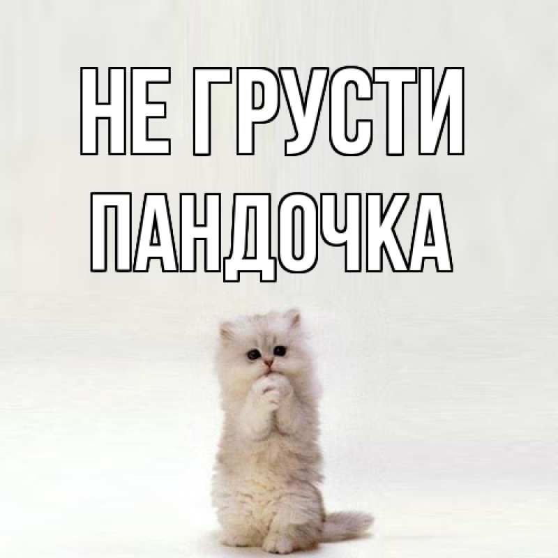 Картинка Не грусти, пандочка