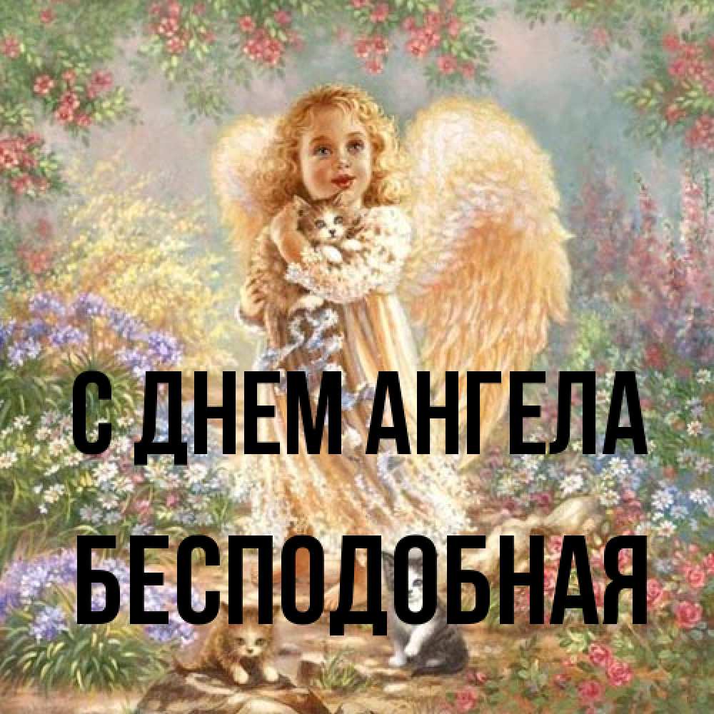 Открытка на каждый день с именем, бесподобная С днем ангела держит котенка Прикольная открытка с пожеланием онлайн скачать бесплатно 