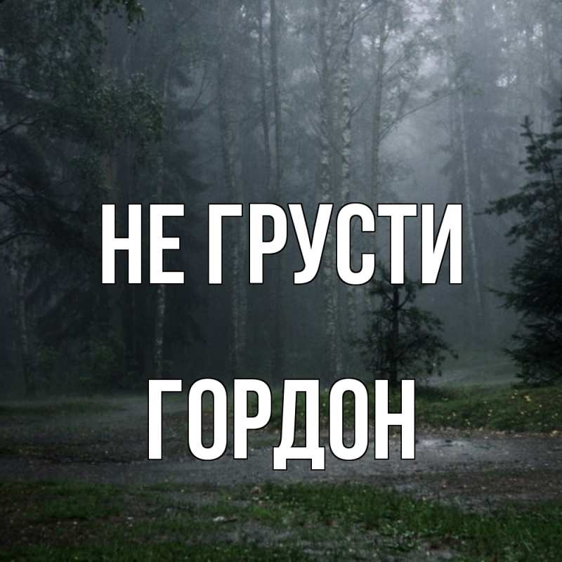 Картинка Не грусти, Гордон