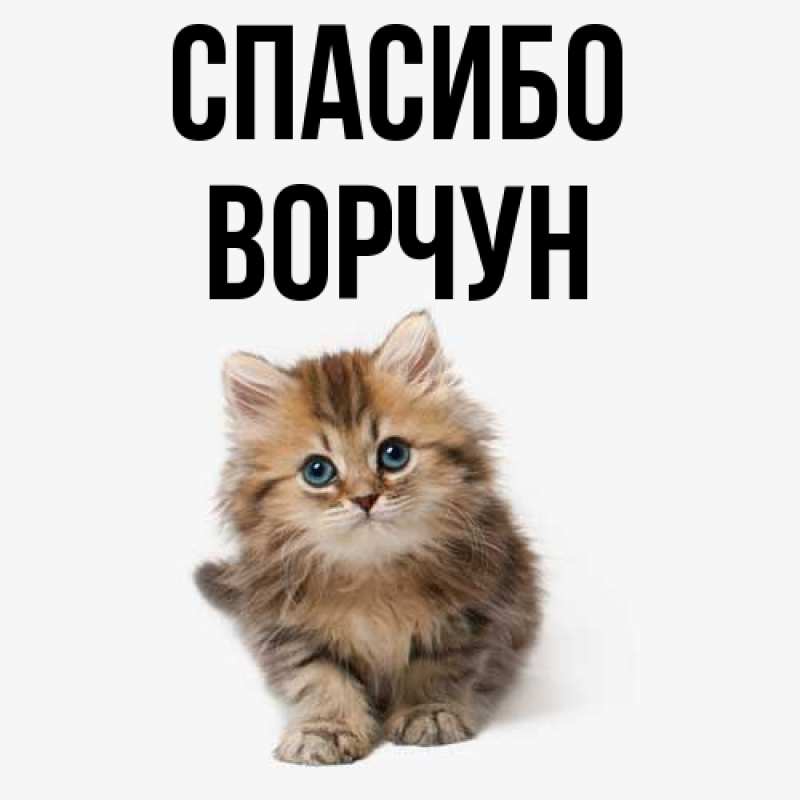 Картинка Спасибо, Ворчун