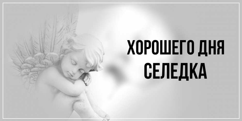 Открытка на каждый день с именем, Селедка Хорошего дня ангел Прикольная открытка с пожеланием онлайн скачать бесплатно 
