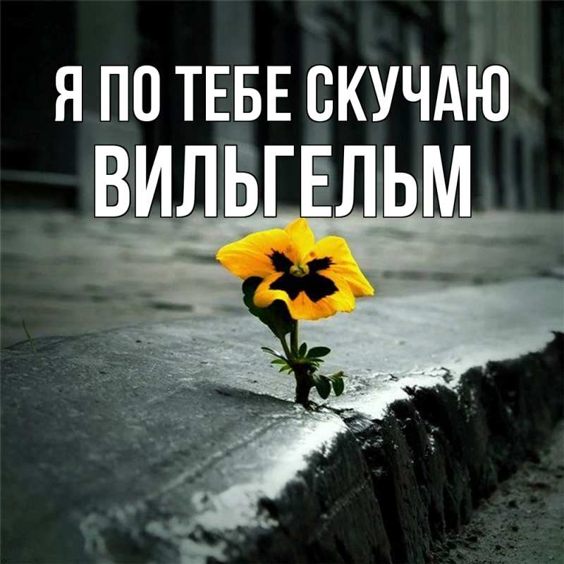 Картинка Я по тебе скучаю, Вильгельм