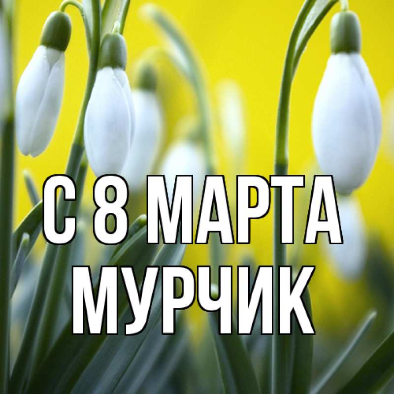 Картинка C 8 МАРТА, Мурчик