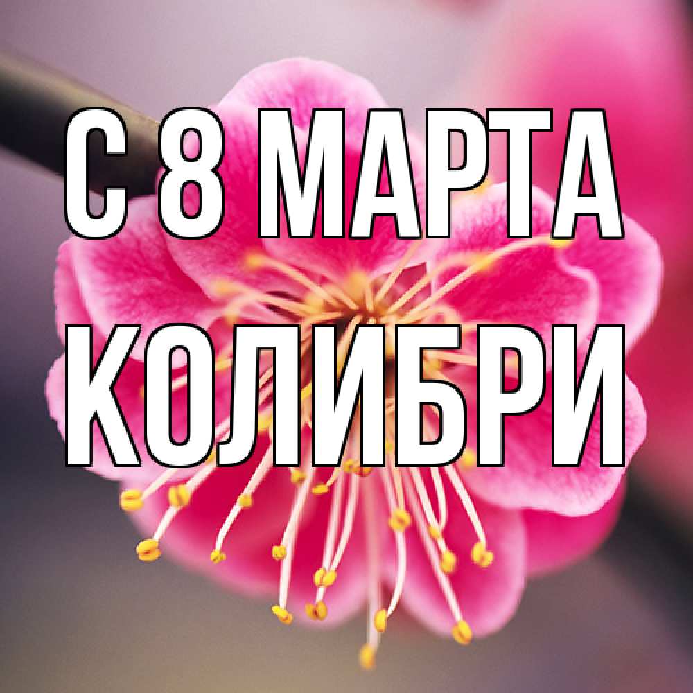 Открытка на каждый день с именем, Колибри C 8 МАРТА цветы Прикольная открытка с пожеланием онлайн скачать бесплатно 