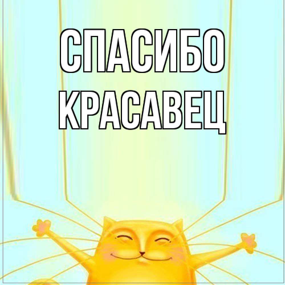 Открытка на каждый день с именем, Красавец Спасибо кот с усами благодарит Прикольная открытка с пожеланием онлайн скачать бесплатно 