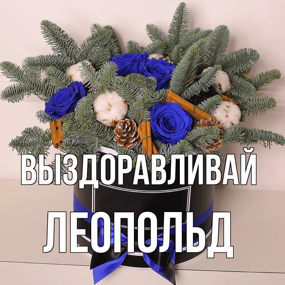 Открытка на каждый день с именем, Леопольд Выздоравливай короче кто то загрузил эти шишки Прикольная открытка с пожеланием онлайн скачать бесплатно 