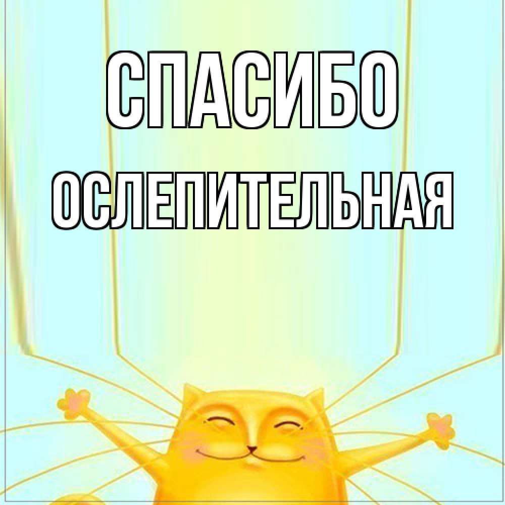 Открытка на каждый день с именем, Ослепительная Спасибо кот с усами благодарит Прикольная открытка с пожеланием онлайн скачать бесплатно 