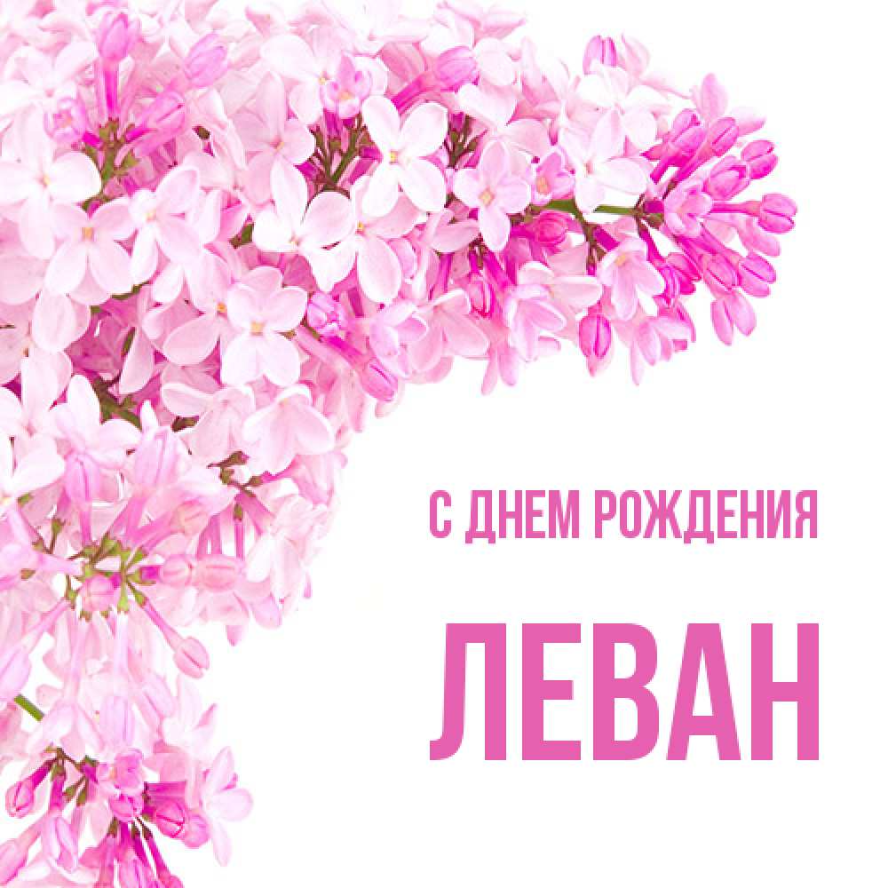 Открытка на каждый день с именем, Леван С днем рождения Сирень на белом фоне Прикольная открытка с пожеланием онлайн скачать бесплатно 