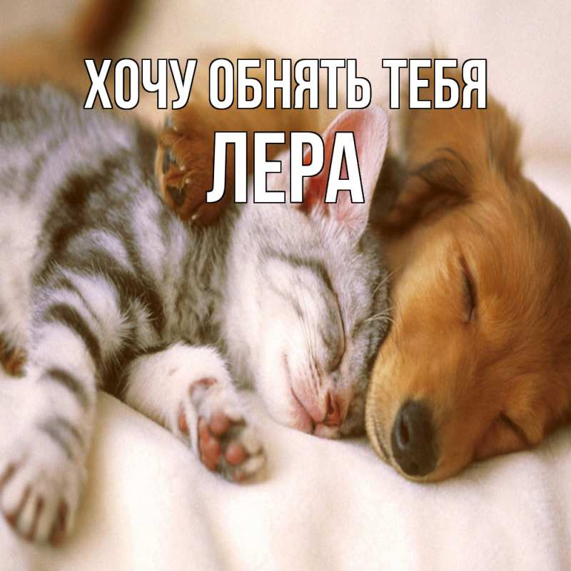 Картинка Хочу обнять тебя, Лера