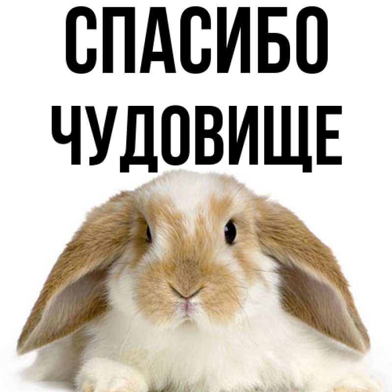 Картинка Спасибо, Чудовище