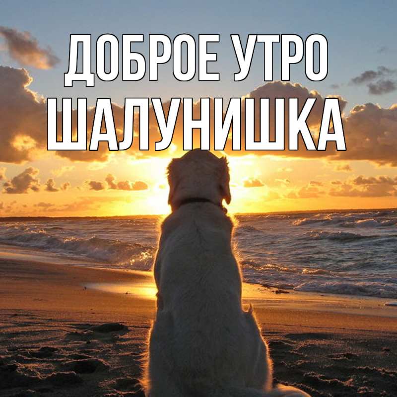 Картинка Доброе утро, шалунишка